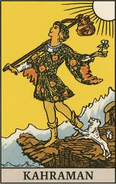 card-17